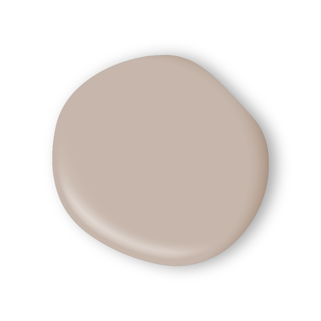 Opulent Dried Pampas Lilly Moon