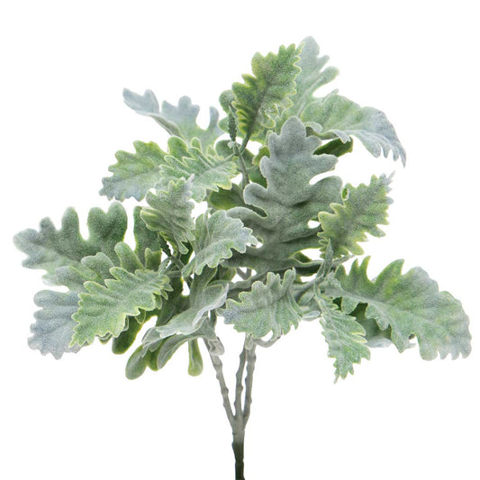 Dusty Miller Pick 10.5"