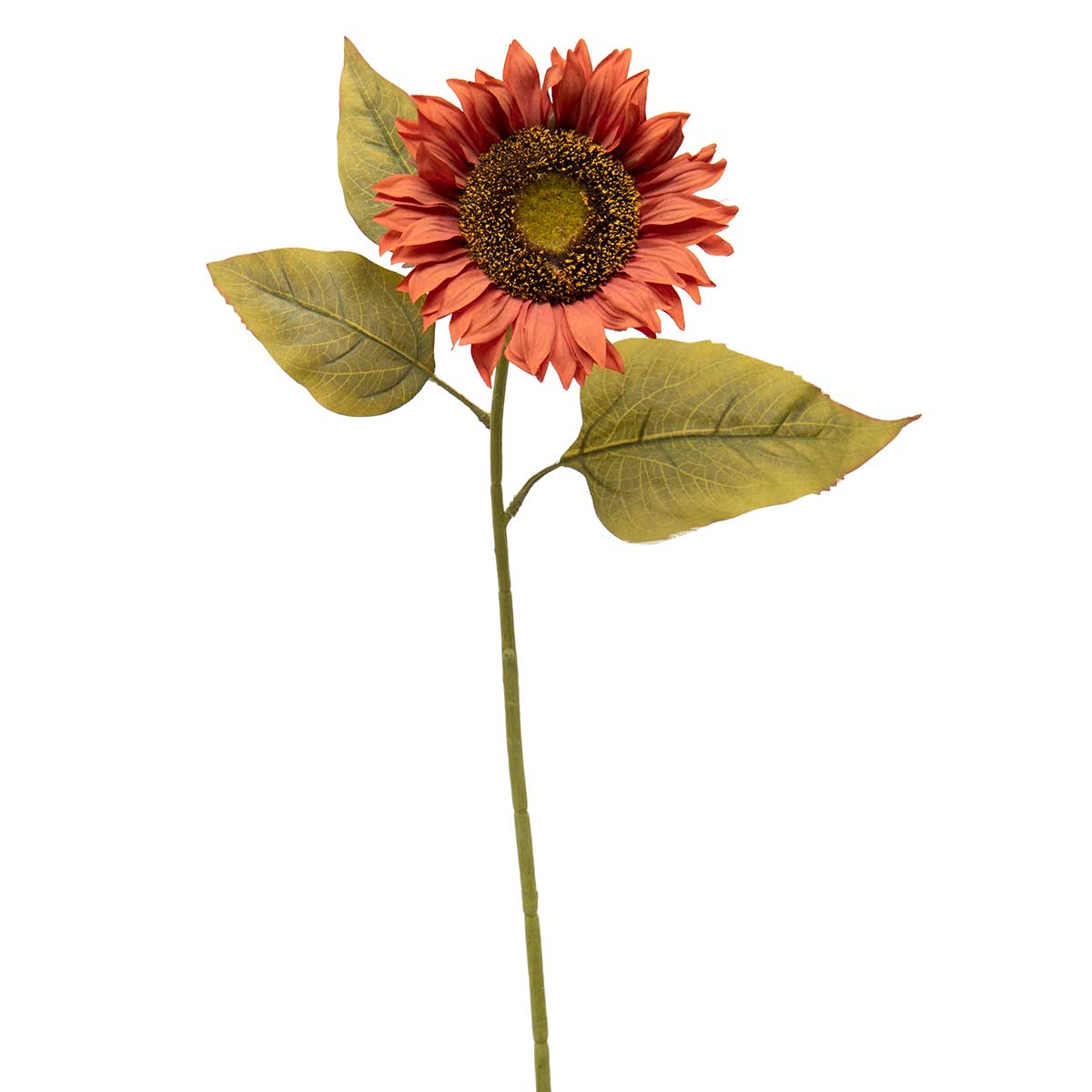 Sunflower Rust