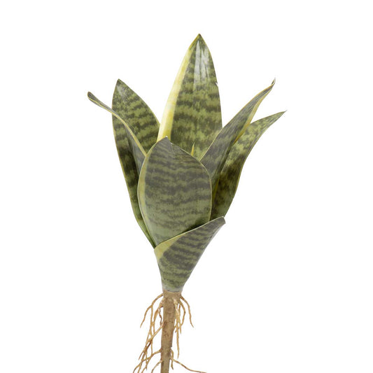 Succulent Foliage 9"