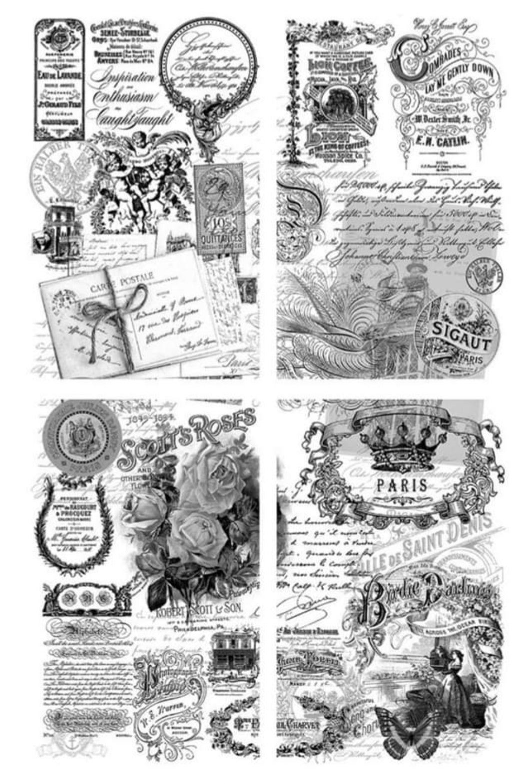 Belles and Whistles TransfersI