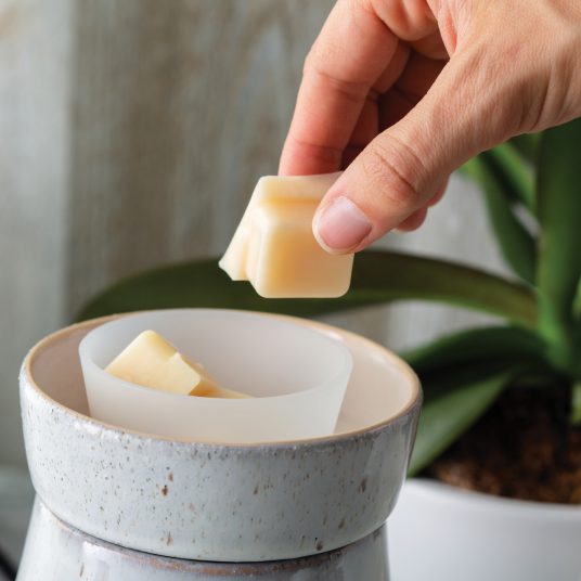 Candle Warmer Flip Dish