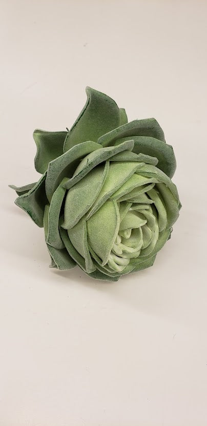 cabbage plant succulent Succulent Rose Cabbage 6.5" – Rusty Cottage