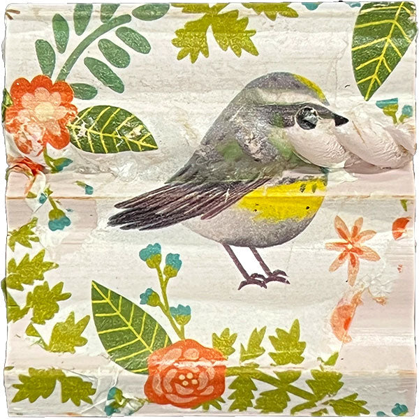 Farmhouse Paint Skin Wrap Decoupage Papers