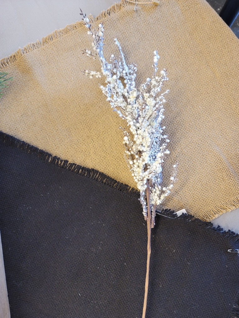 White snow branch stem