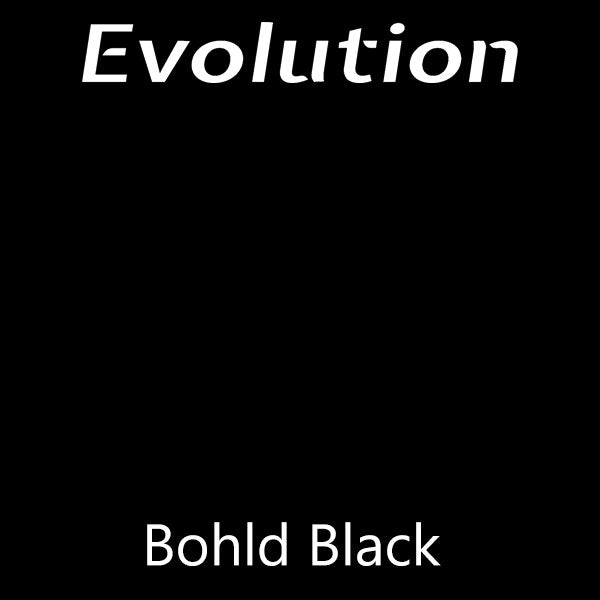 Bohld Black Evolution Farmhouse Paint