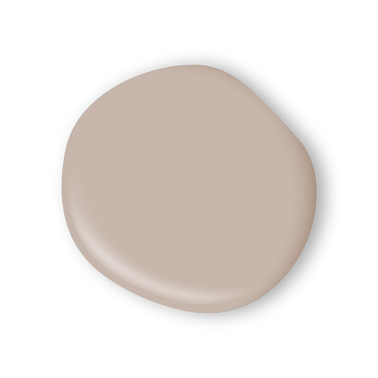 Opulent Dried Pampas Lilly Moon