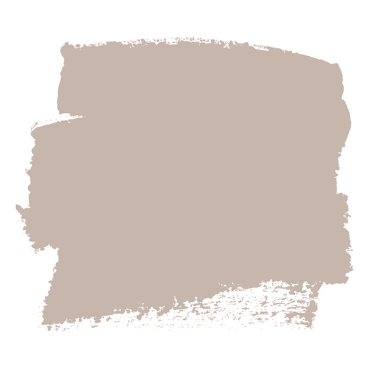 Dried Pampas Lilly Moon Paint