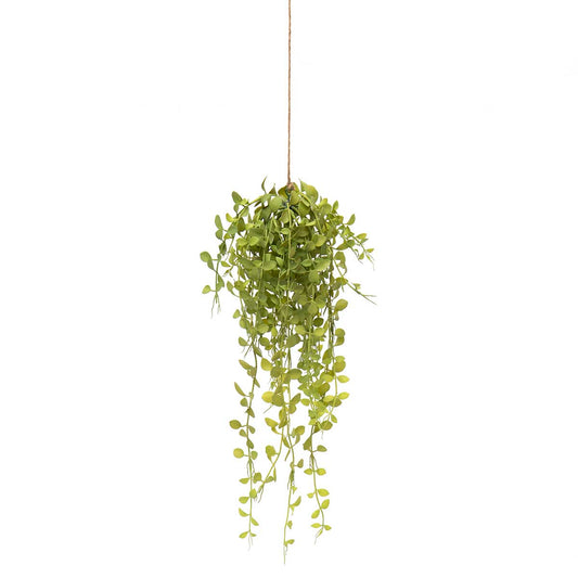 Hanging Bush 22"