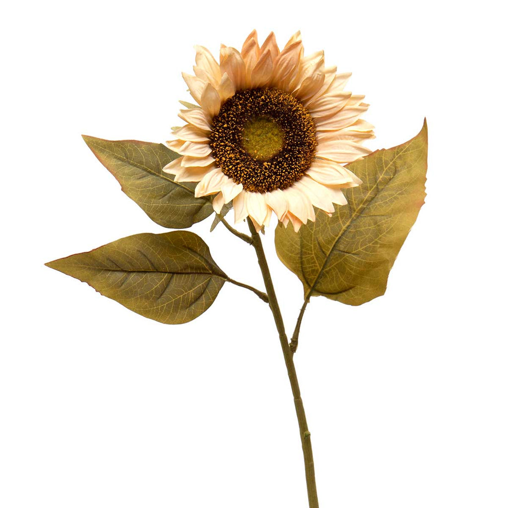 Sunflower Beige