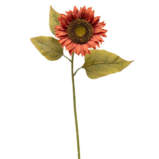 Sunflower Rust