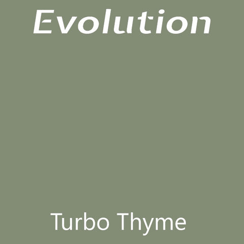 Turbo Thyme Evolution Farmhouse Paint