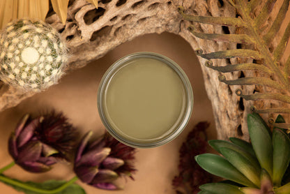 Cactus Silk All In One Painto