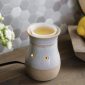 Candle Warmer Flip Dish