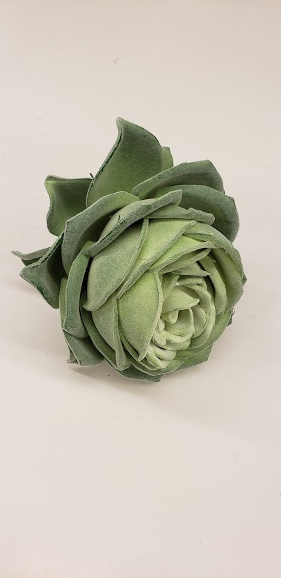 Succulent Rose Cabbage 6.5"