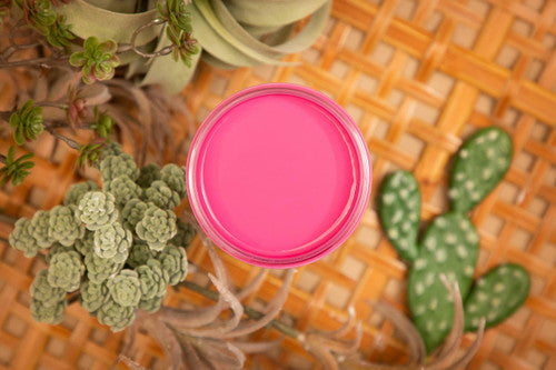 Prickly Pear Silk All In One Paint